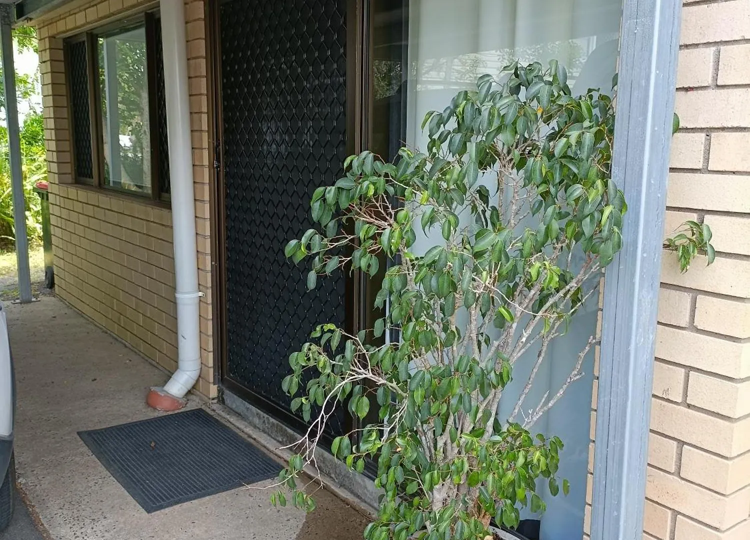 Avondale Apartment Lismore